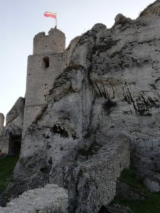 Zamek Ogrodzieniec mur i skały 576x768