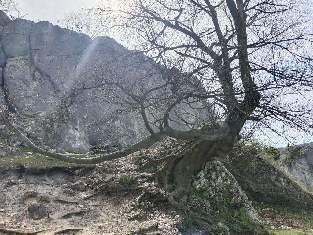 Agroturystyka noclegi Poraj Gora Zborow 1