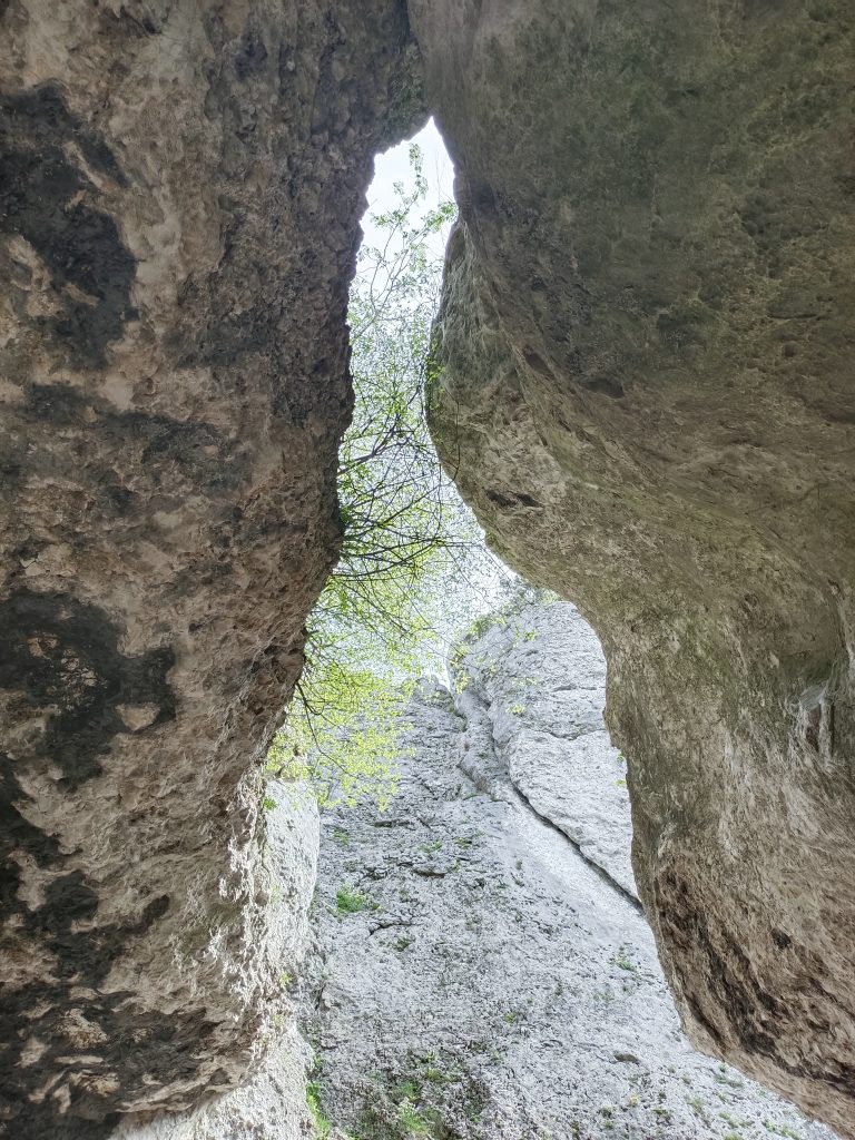 Agroturystyka noclegi Poraj Gora Zborow 3