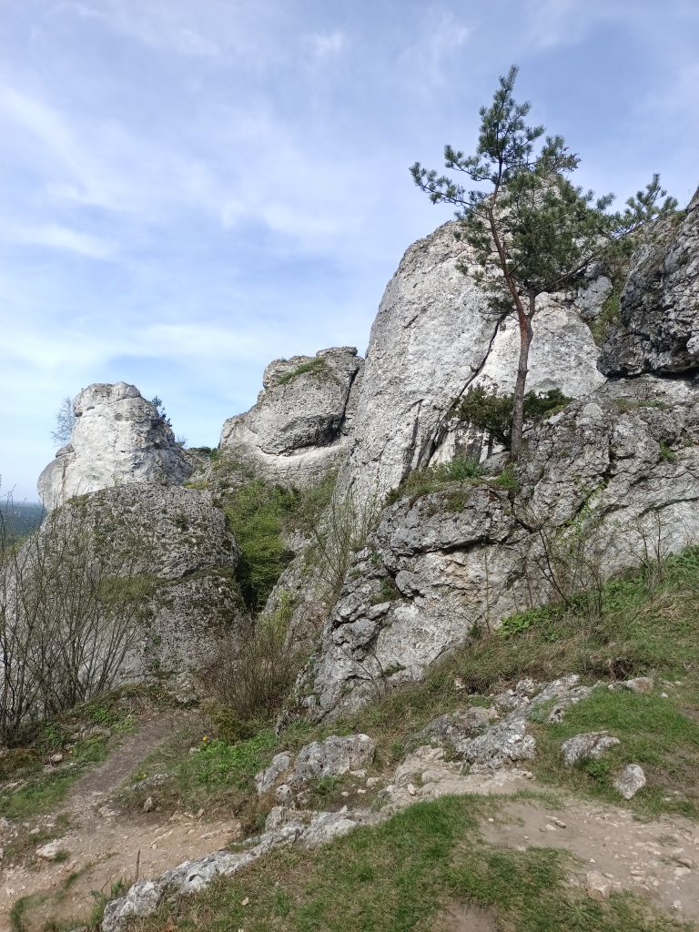 Agroturystyka noclegi Poraj Gora Zborow 6