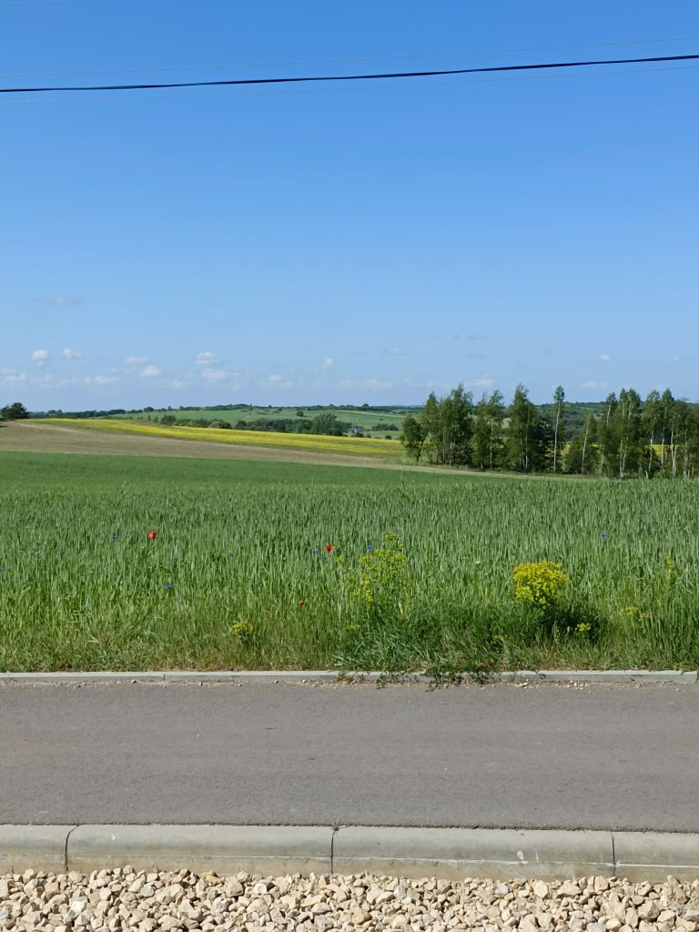 Agroturystyka noclegi Poraj Jaskinia Ostreznik 2