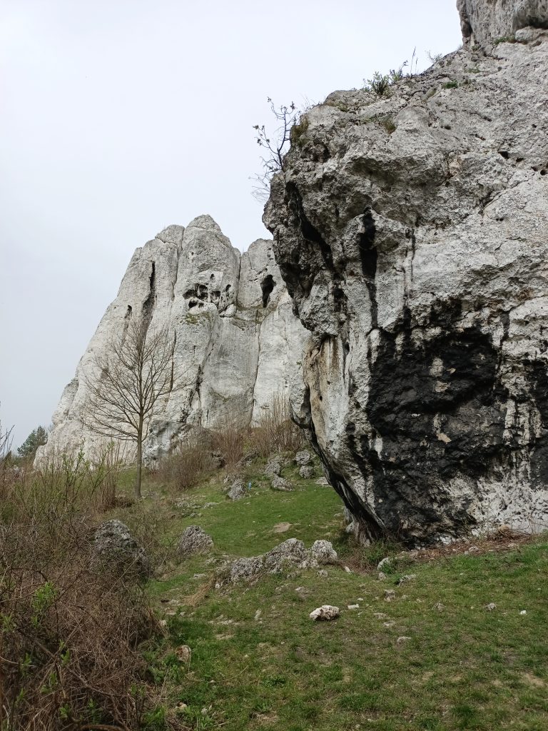 Agroturystyka noclegi Poraj Skaly Rzedkowickie 8